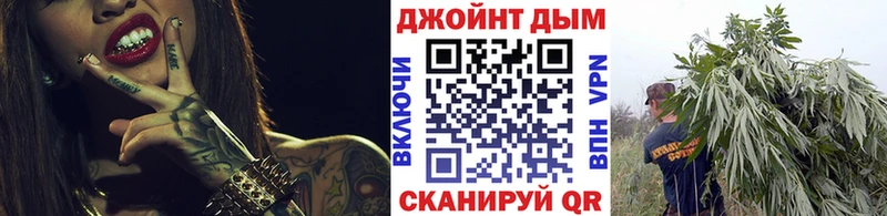 Каннабис Amnesia  Купить закладки  Дагестанские Огни 